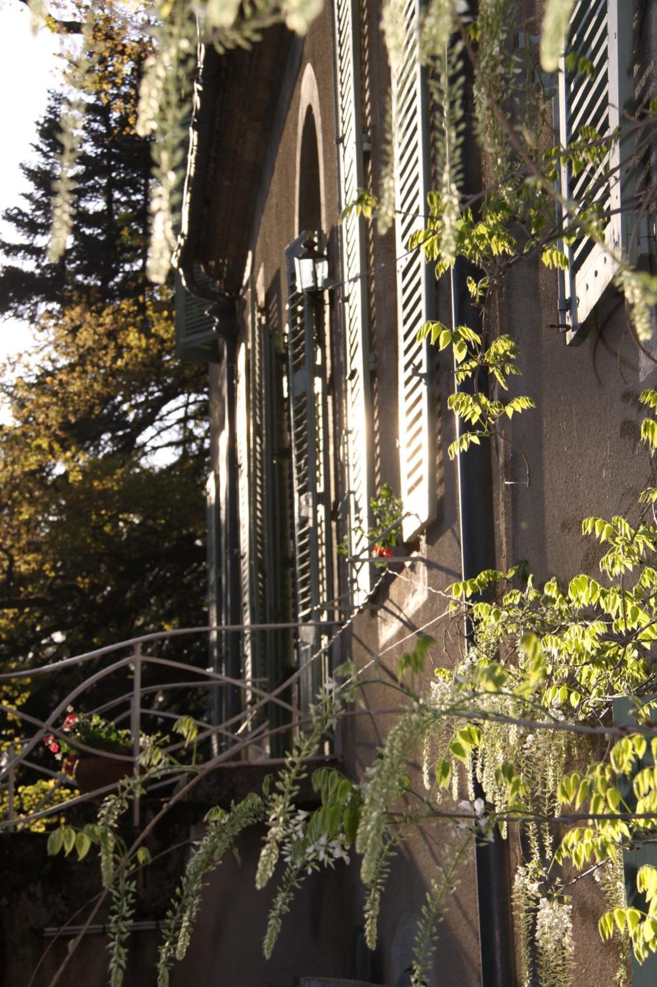 Bed and Breakfast Domaine Le Castelet Кастр Екстер'єр фото